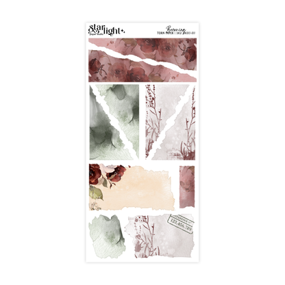 Becoming ✧ Decorative Kit