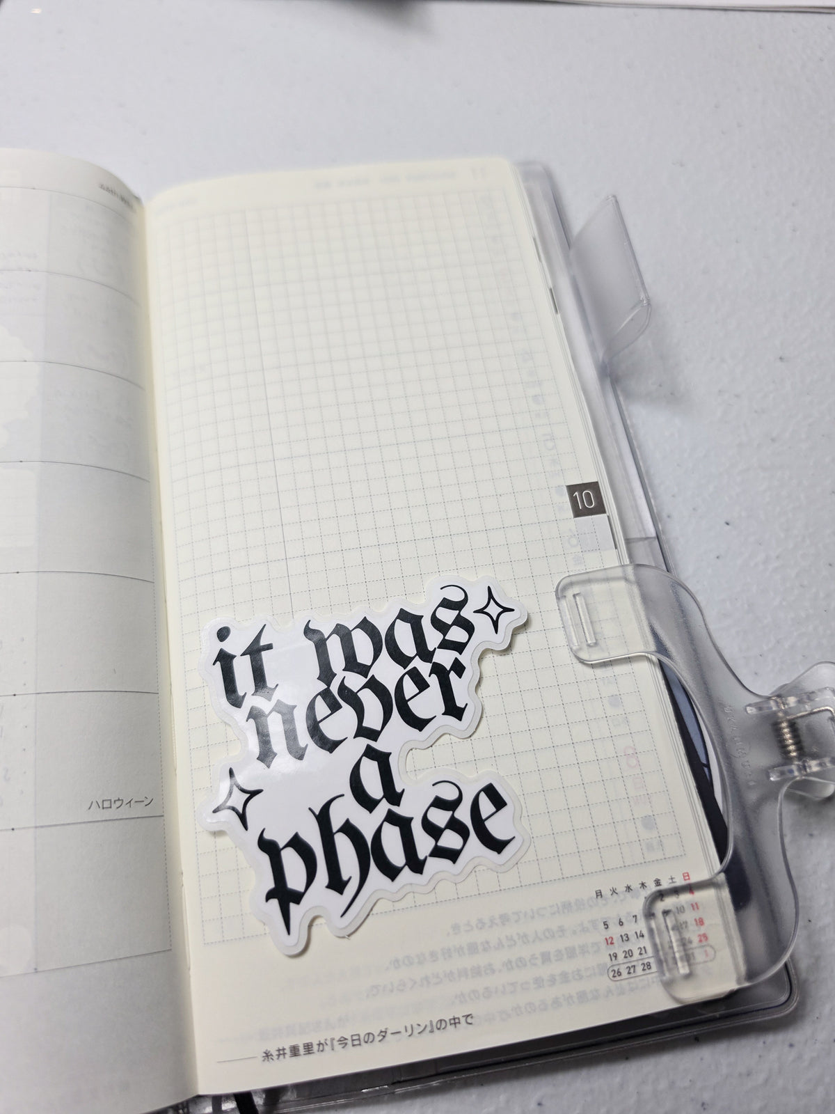 It Was Never a Phase ✧ Vinyl Diecut