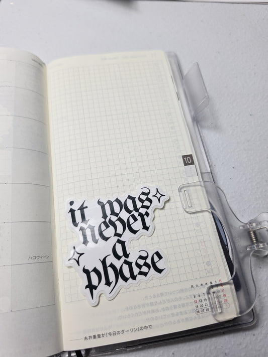 It Was Never a Phase ✧ Vinyl Diecut
